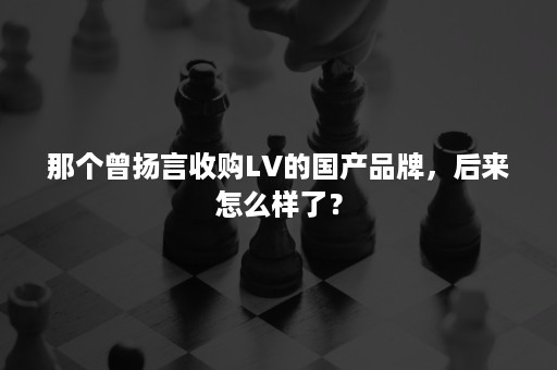 那个曾扬言收购LV的国产品牌，后来怎么样了？