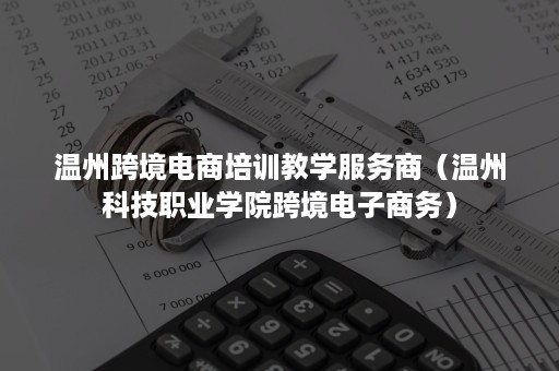 温州跨境电商培训教学服务商（温州科技职业学院跨境电子商务）