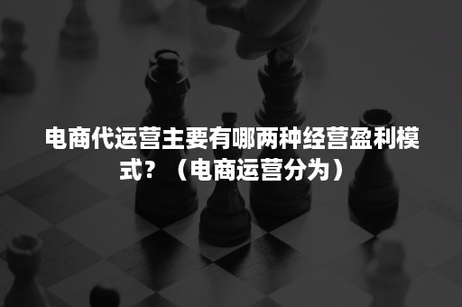 电商代运营主要有哪两种经营盈利模式？（电商运营分为）