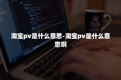 淘宝pv是什么意思-淘宝pv是什么意思啊