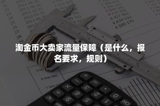 淘金币大卖家流量保障（是什么，报名要求，规则）