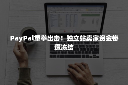 PayPal重拳出击!独立站卖家资金惨遭冻结 PayPal重拳出击!独立站卖家资金惨遭冻结