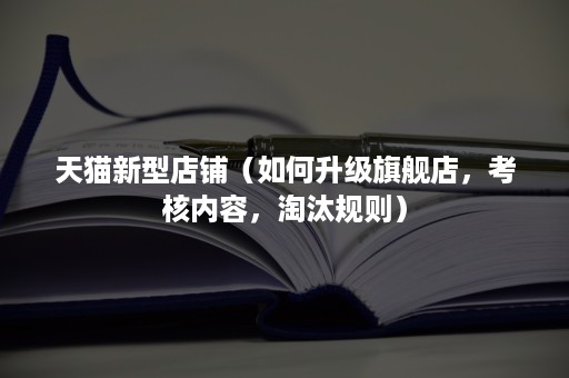 天猫新型店铺（如何升级旗舰店，考核内容，淘汰规则）