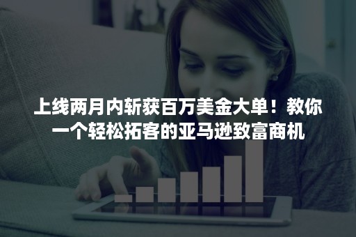 上线两月内斩获百万美金大单！教你一个轻松拓客的亚马逊致富商机