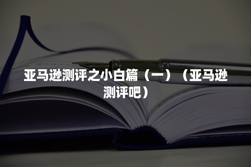 亚马逊测评之小白篇（一）（亚马逊测评吧）