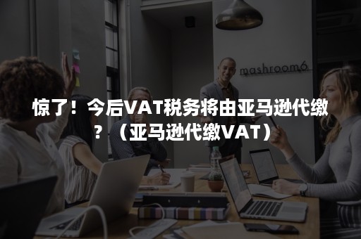 惊了！今后VAT税务将由亚马逊代缴？（亚马逊代缴VAT）