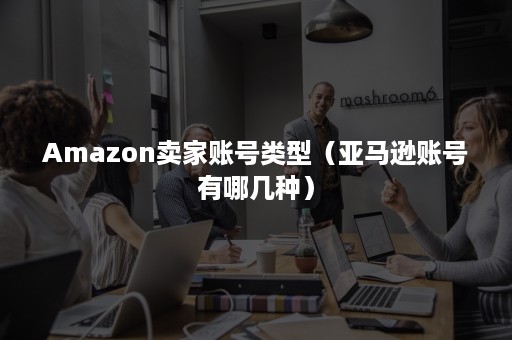 Amazon卖家账号类型（亚马逊账号有哪几种）