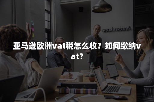 亚马逊欧洲vat税怎么收？如何缴纳vat？