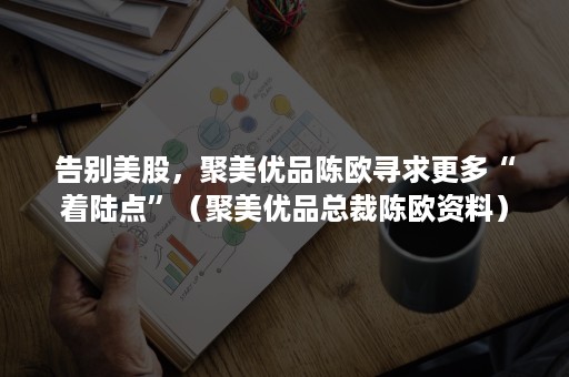 告别美股，聚美优品陈欧寻求更多“着陆点”（聚美优品总裁陈欧资料）