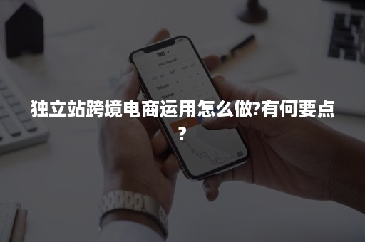 独立站跨境电商运用怎么做?有何要点?