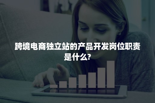 跨境电商独立站的产品开发岗位职责是什么?