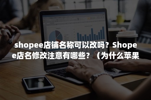 shopee店铺名称可以改吗？Shopee店名修改注意有哪些？（为什么苹果突然调节不了亮度）