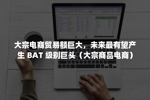 大宗电商贸易额巨大，未来最有望产生 BAT 级别巨头（大宗商品电商）