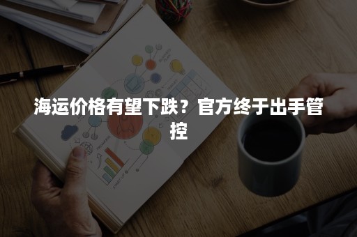 海运价格有望下跌？官方终于出手管控