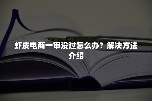 虾皮电商一审没过怎么办？解决方法介绍