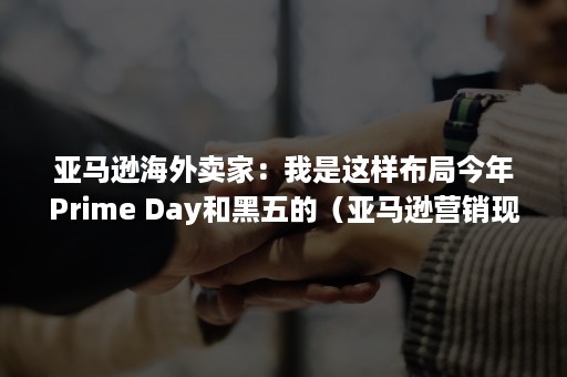 亚马逊海外卖家：我是这样布局今年Prime Day和黑五的（亚马逊营销现状）