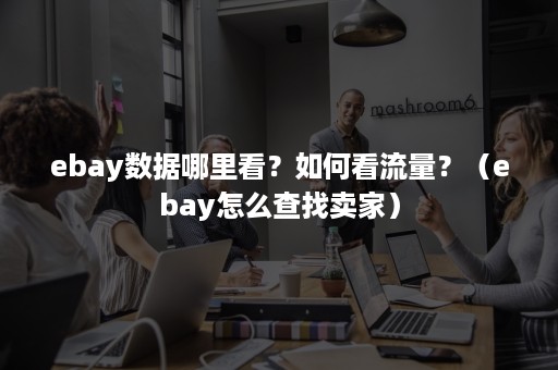 ebay数据哪里看？如何看流量？（ebay怎么查找卖家）