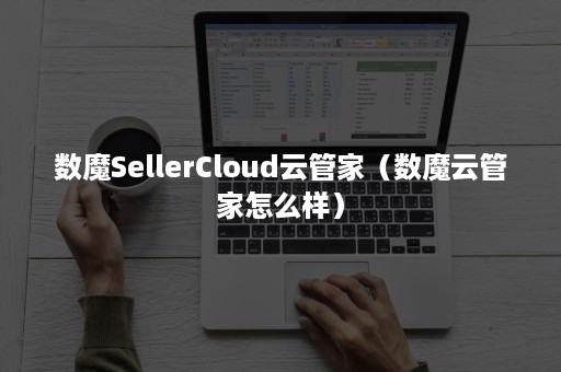 数魔SellerCloud云管家（数魔云管家怎么样）