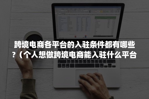 跨境电商各平台的入驻条件都有哪些?（个人想做跨境电商能入驻什么平台?）
