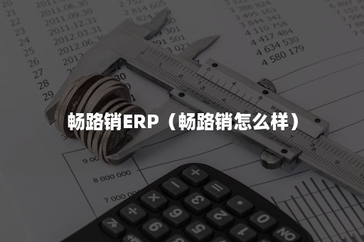 畅路销ERP（畅路销怎么样）