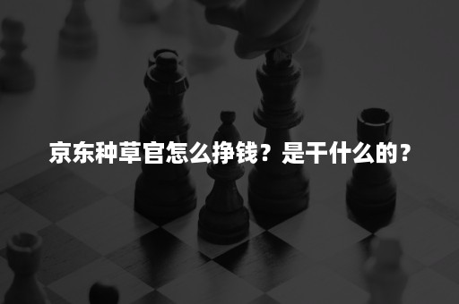 京东种草官怎么挣钱？是干什么的？