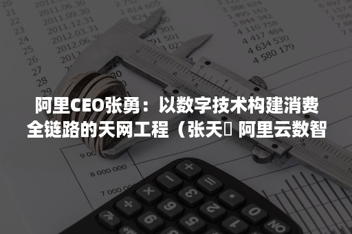 阿里CEO张勇:以数字技术构建消费全链路的天网工程(张天劼 阿里云数智空间峰会) 阿里CEO张勇:以数字技术构建消费全链路的天网工程(张天劼 阿里云数智空间峰会)