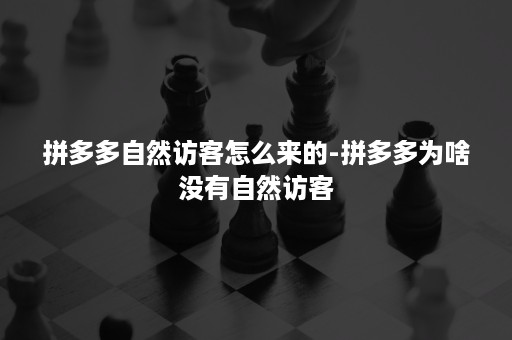 拼多多自然访客怎么来的-拼多多为啥没有自然访客