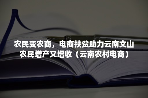 农民变农商，电商扶贫助力云南文山农民增产又增收（云南农村电商）