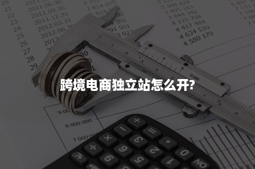 跨境电商独立站怎么开?