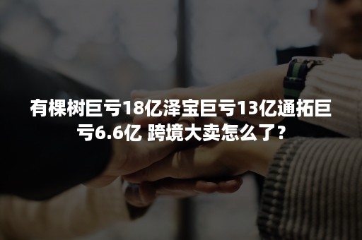 有棵树巨亏18亿泽宝巨亏13亿通拓巨亏6.6亿 跨境大卖怎么了？