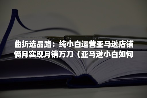 曲折选品路：纯小白运营亚马逊店铺俩月实现月销万刀（亚马逊小白如何选品）