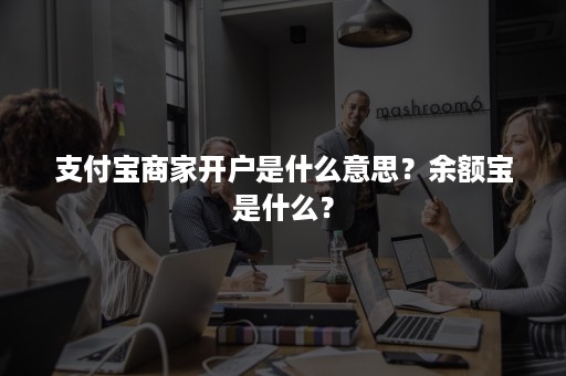 支付宝商家开户是什么意思？余额宝是什么？