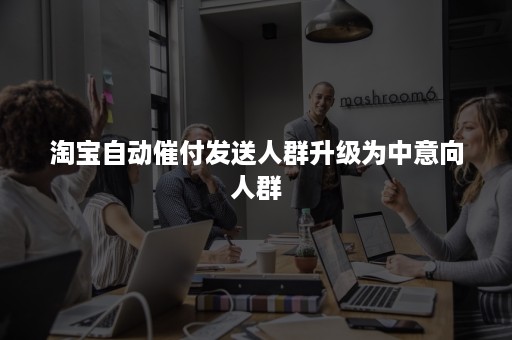 淘宝自动催付发送人群升级为中意向人群