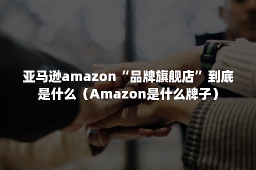 亚马逊amazon“品牌旗舰店”到底是什么（Amazon是什么牌子）