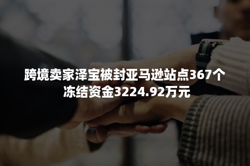 跨境卖家泽宝被封亚马逊站点367个 冻结资金3224.92万元