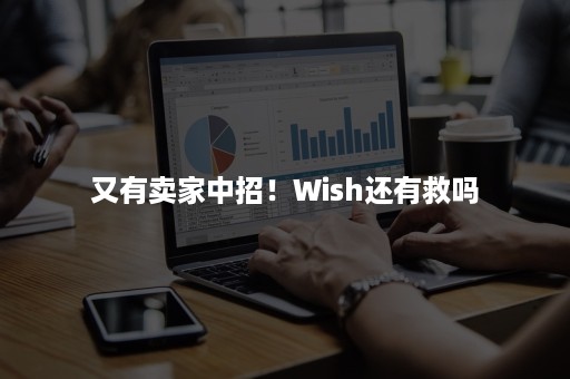 又有卖家中招！Wish还有救吗