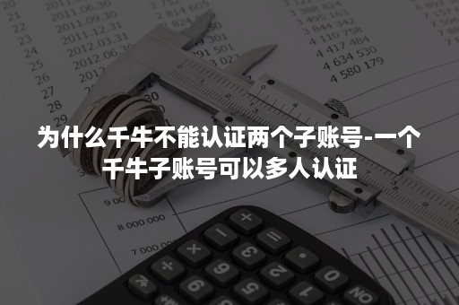 为什么千牛不能认证两个子账号-一个千牛子账号可以多人认证