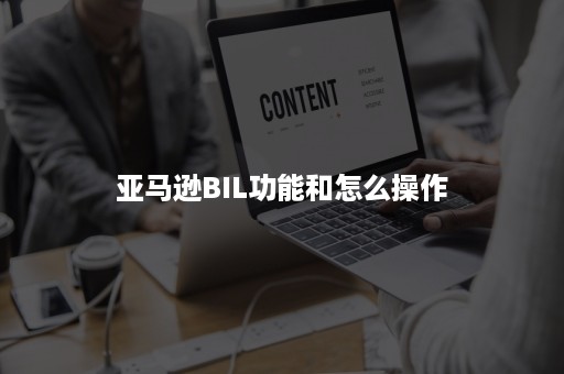 亚马逊BIL功能和怎么操作