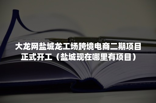 大龙网盐城龙工场跨境电商二期项目正式开工（盐城现在哪里有项目）