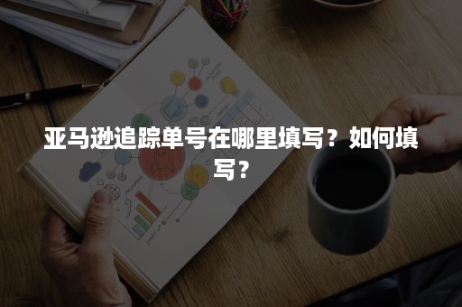 亚马逊追踪单号在哪里填写？如何填写？