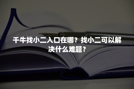 千牛找小二入口在哪？找小二可以解决什么难题？