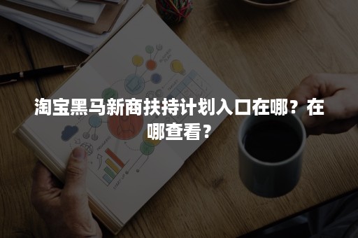 淘宝黑马新商扶持计划入口在哪？在哪查看？