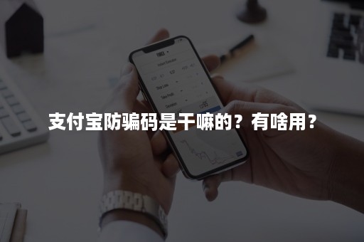 支付宝防骗码是干嘛的？有啥用？