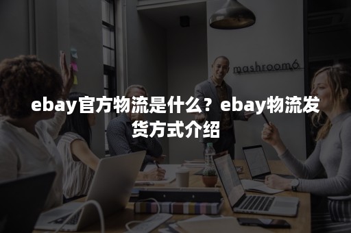 ebay官方物流是什么？ebay物流发货方式介绍