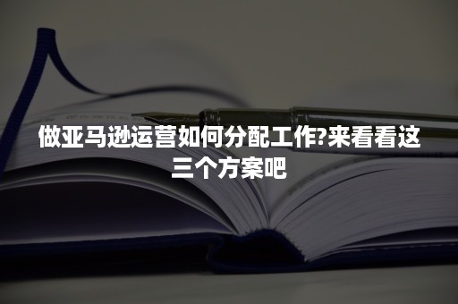 做亚马逊运营如何分配工作?来看看这三个方案吧