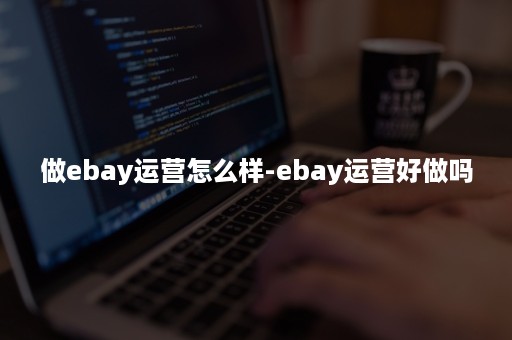 做ebay运营怎么样-ebay运营好做吗