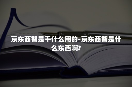 京东商智是干什么用的-京东商智是什么东西啊?