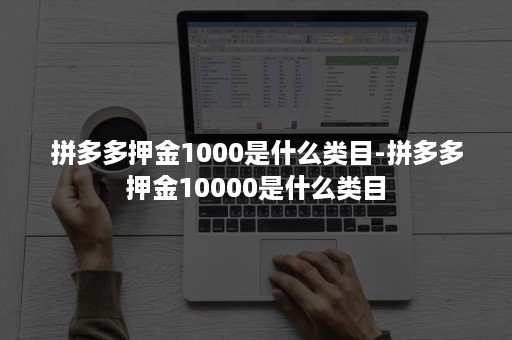 拼多多押金1000是什么类目-拼多多押金10000是什么类目