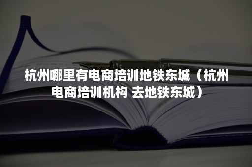 杭州哪里有电商培训地铁东城（杭州电商培训机构 去地铁东城）