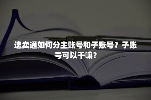 速卖通如何分主账号和子账号？子账号可以干嘛？